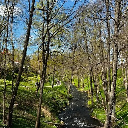 Salt Garden Pensjonat