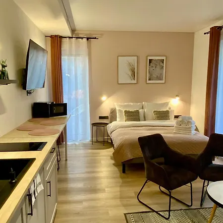 Salt Garden Pensjonat Druskieniki